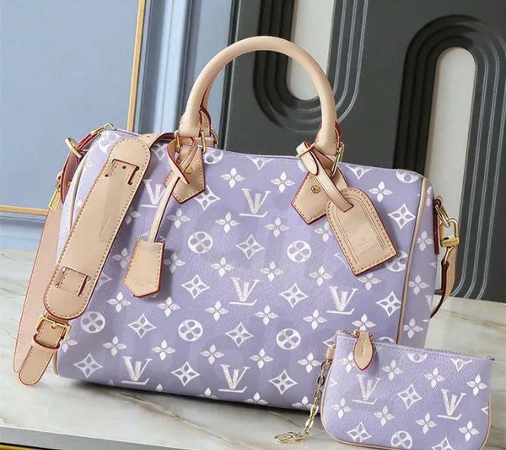 LV bag