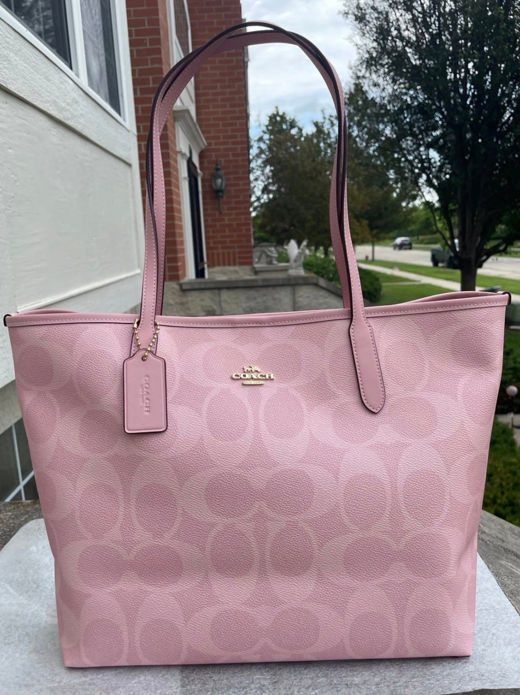 Couchh Purse