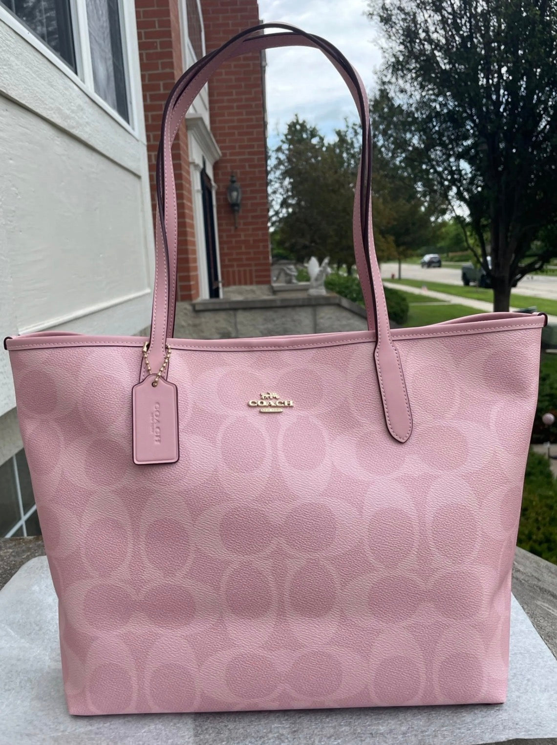 Couchh Purse
