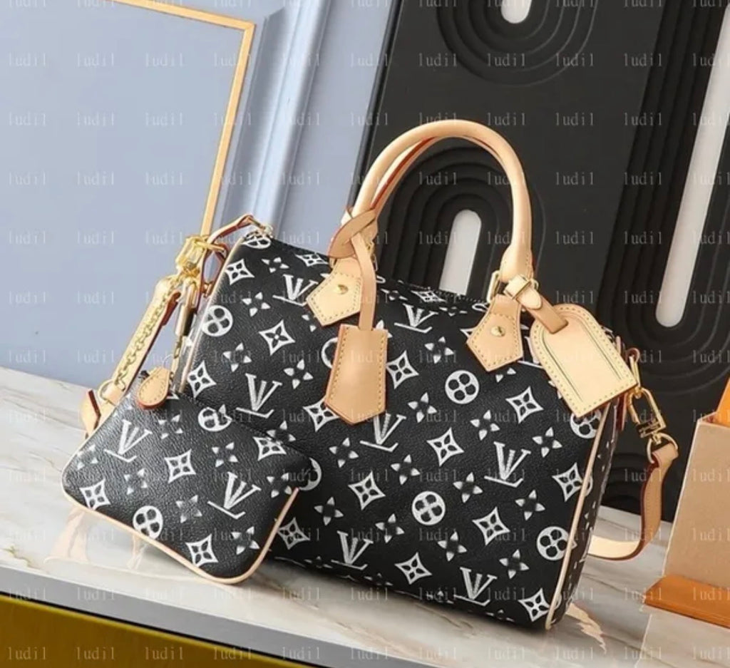 LV bag