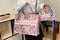 CD hand bag
